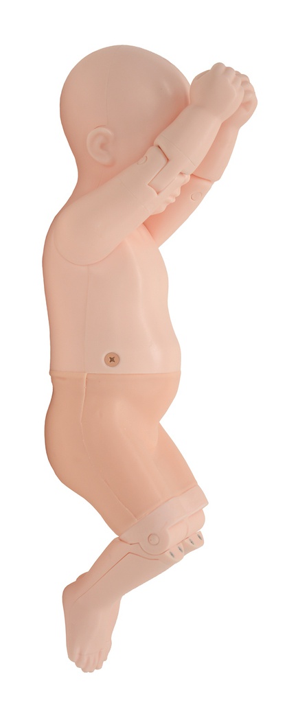 US-13 Infant Hip Sonography Training Phantom