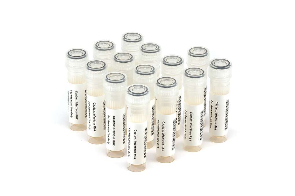 HCV10021 HCV Seroconversion Panel Donor n. 68470 (14x 1 ml)