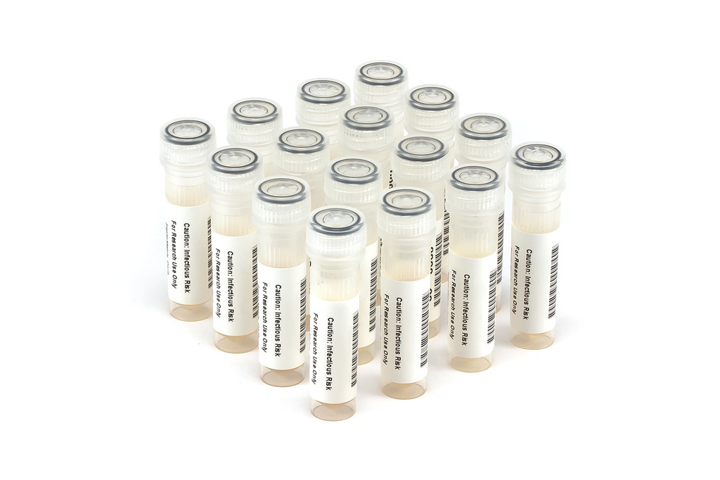 HCV10032 HCV PCR Seroconversion Panel Donor n. 66113 (16x 1 ml)