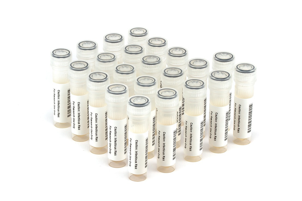 HCV6223 HCV Seroconversion Panel Donor n. 62507