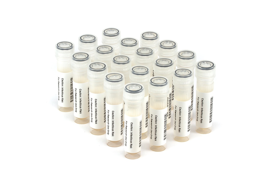 HCV6225 HCV Seroconversion Panel Donor n. 62999 (19x 1.0 ml)