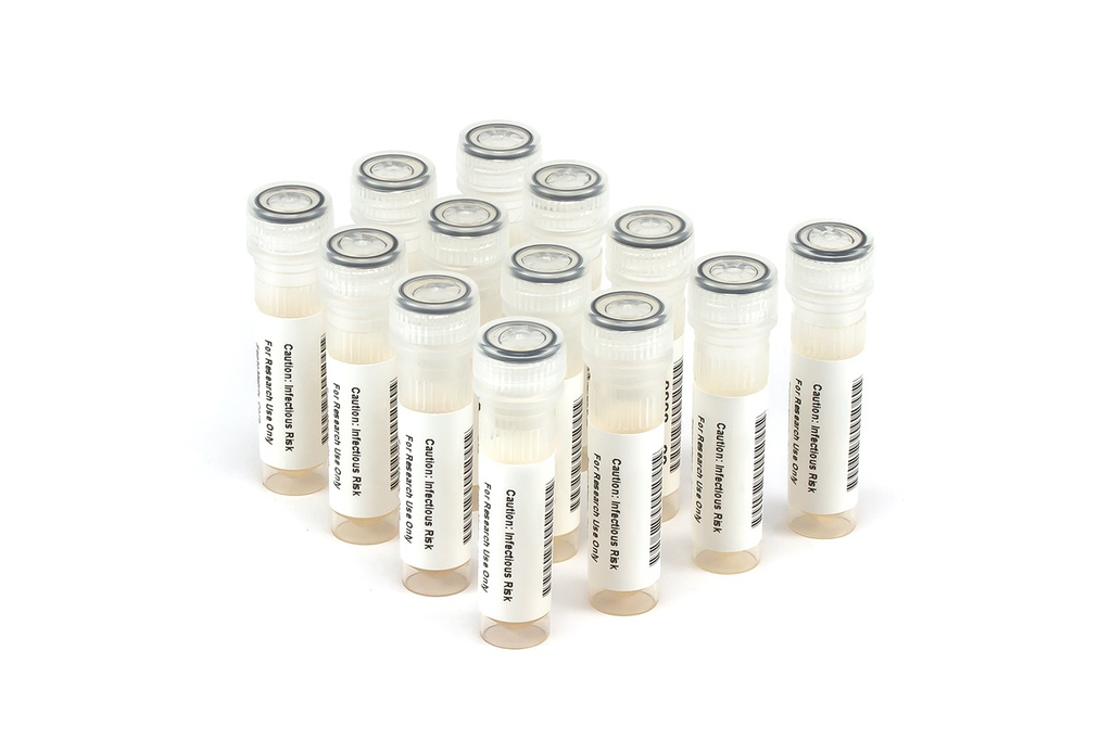 HCV9050 HCV Seroconversion Panel Donor n. 66158 (13x 1 ml)