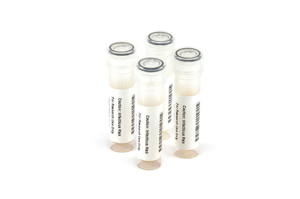 HIV9079 HIV Seroconversion Panel Donor n. 75062 (15x 1 ml)