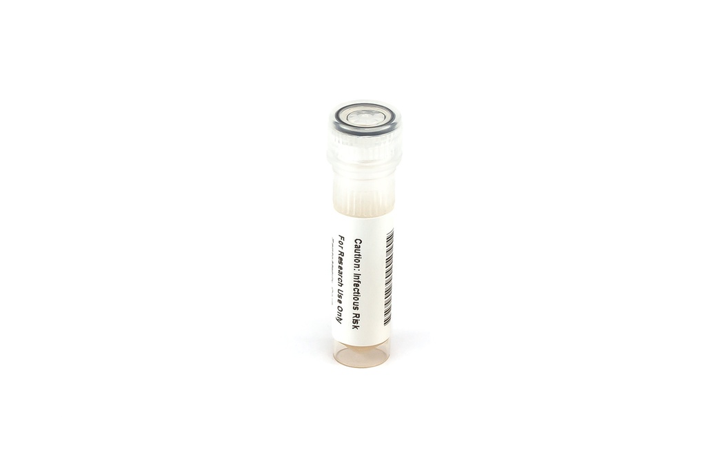 PRODENV2-089 PROtrol Dengue Virus Type 2 (Strain: New Guinea C)
