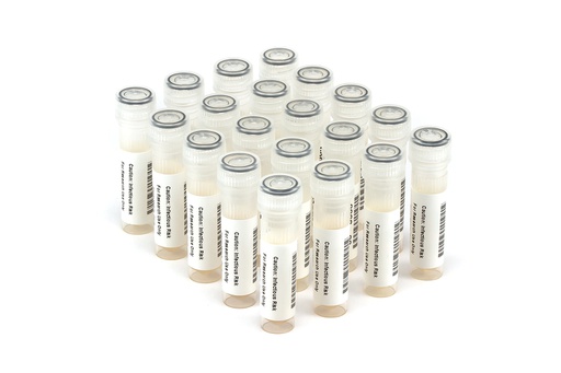 [HBV9074] HBV9074 HBV Seroconversion Panel Donor n. 66213 (20x 1 ml)