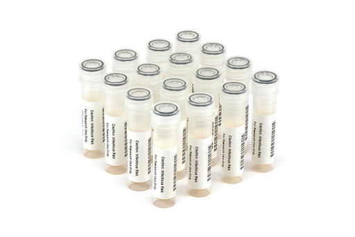 [HCV10032] HCV10032 HCV PCR Seroconversion Panel Donor n. 66113