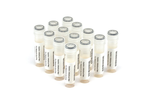 [6502] 6502 HBV Longitudinal Panel (13x 1.0 ml)