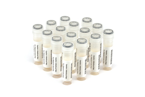 [6512] 6512 HBV Longitudinal Panel (15x 1.0 ml)