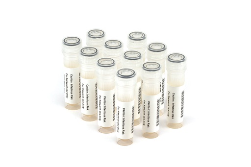 [6536] 6536 HBV Longitudinal Panel (11x 1.0 ml)
