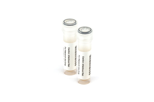 [KZMC034] KZMC034 RSV Rapid Test Control Pack