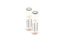 KZMC036 Rotavirus Rapid Test Control Pack