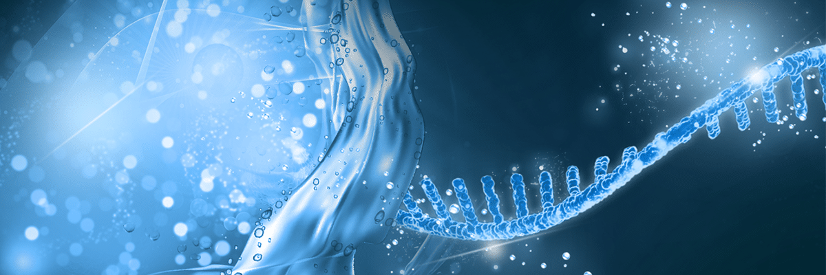 Are cellular contaminants interfering with amplification of your virus standard?