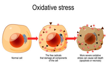 What is Oxidative Stress and how to Analyze it?