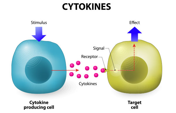 Range of Cytokines and Chemokines and its Clinical Significance