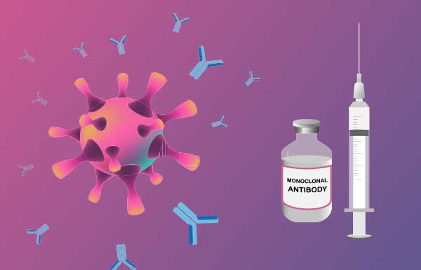The Comprehensive Range of Monoclonal and Polyclonal antibodies against Infectious Agents