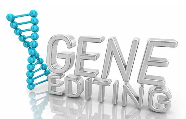 Clinical Applications of Gene Editing Technologies: HIV