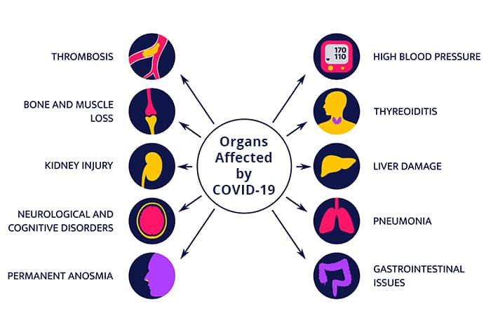 What are the organs most affected by COVID‐19?