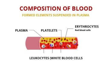COMPOSITION OF BLOOD AND ITS FUNCTIONS