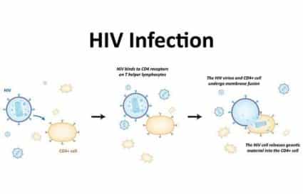 Signs of Seroconversion and How to Avoid HIV