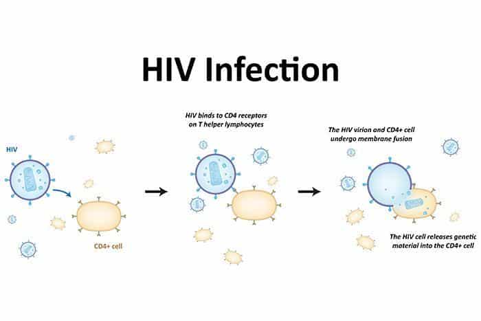 Signs of Seroconversion and How to Avoid HIV