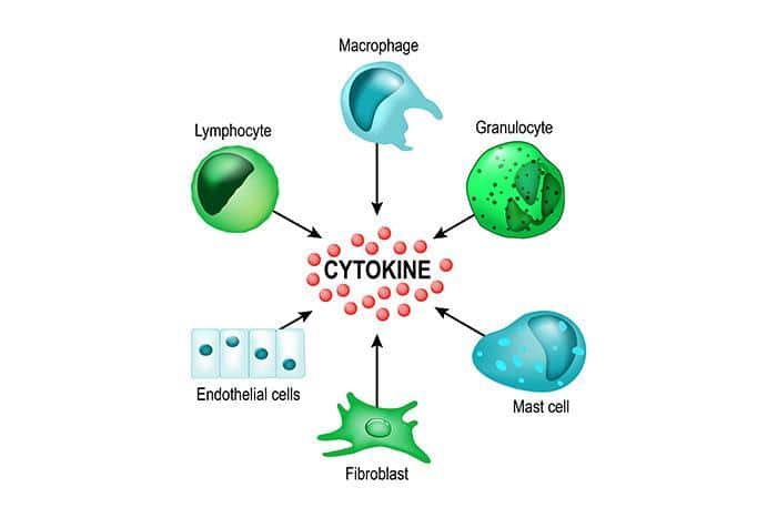 Cytokines and their Role in Health and Disease