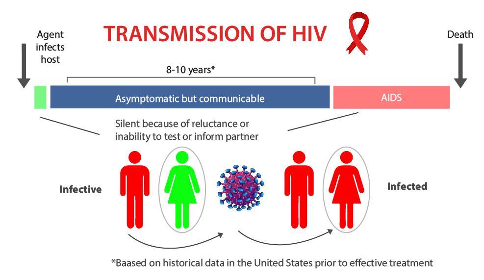 Facts Of Hiv And Aids Transmission That Will Help You Understand The Nature Of This Endemic