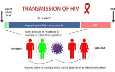 AIDS and HIV: Facts and Myths about Transmission