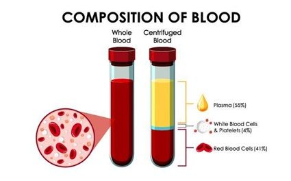 <strong>What are the purposes and applications of donated plasma?</strong>