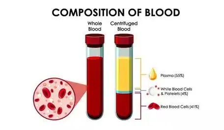 <strong>What are the purposes and applications of donated plasma?</strong>