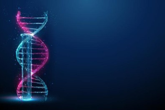 What are the different types of molecular or genetic tests?
