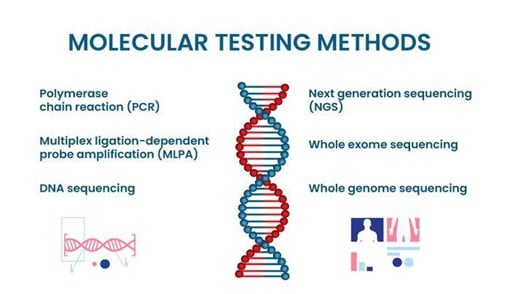 Types of molecular testing methods 