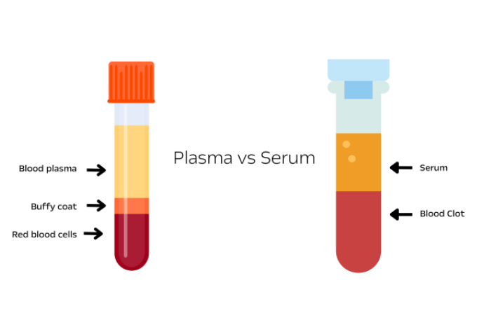 Serum or Plasma: What are their uses, and which is better for research purposes? 