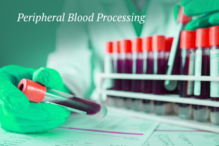 Discover the universe within a blood tube with peripheral blood processing? 