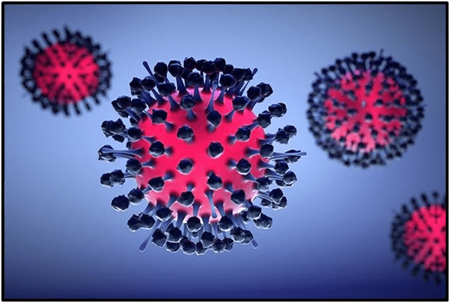 Infectious Virus 